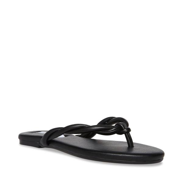 Steve Madden Saylor Women's Sandals Black | SM-846DT