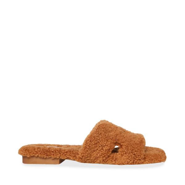 Steve Madden Seek Cognac Women\'s Slippers Brown | SM-974WB