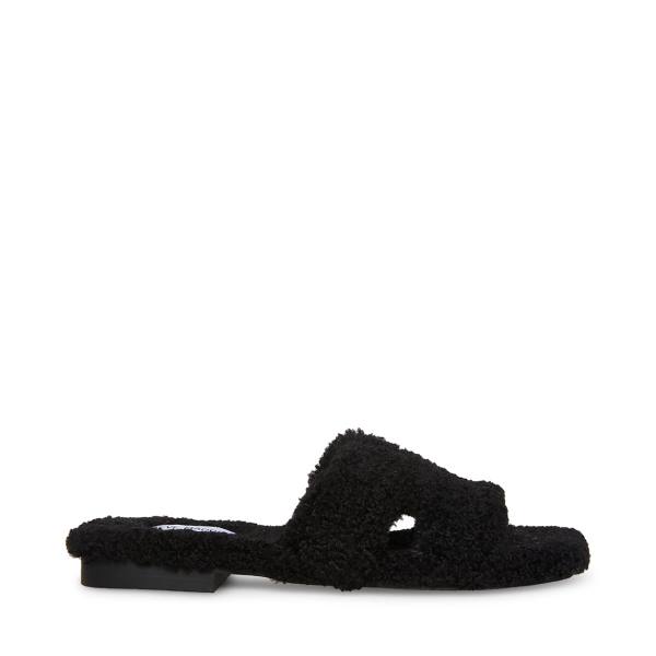 Steve Madden Seek Women\'s Slippers Black | SM-081PZ