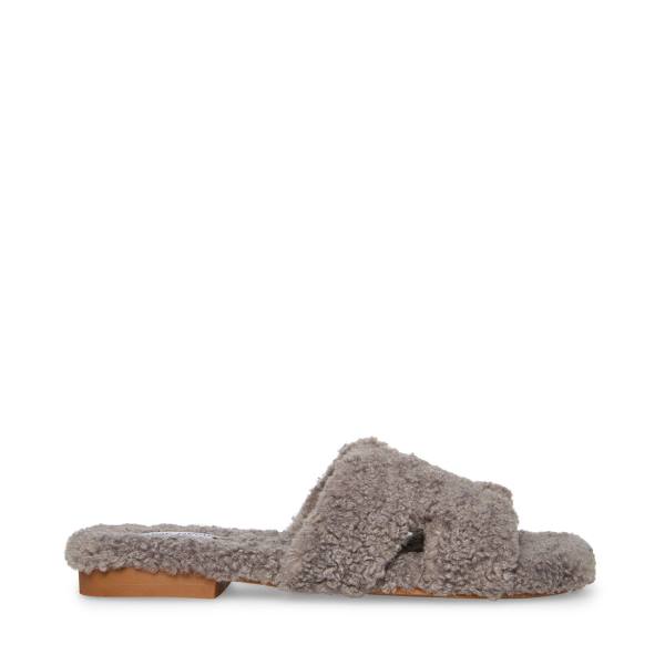 Steve Madden Seek Women\'s Slippers Grey | SM-612XE