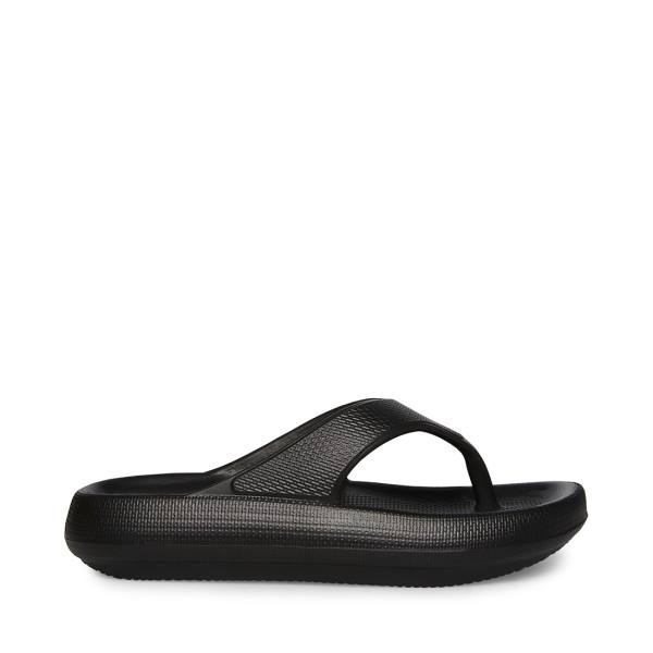 Steve Madden Shelby Women\'s Sandals Black | SM-097TI