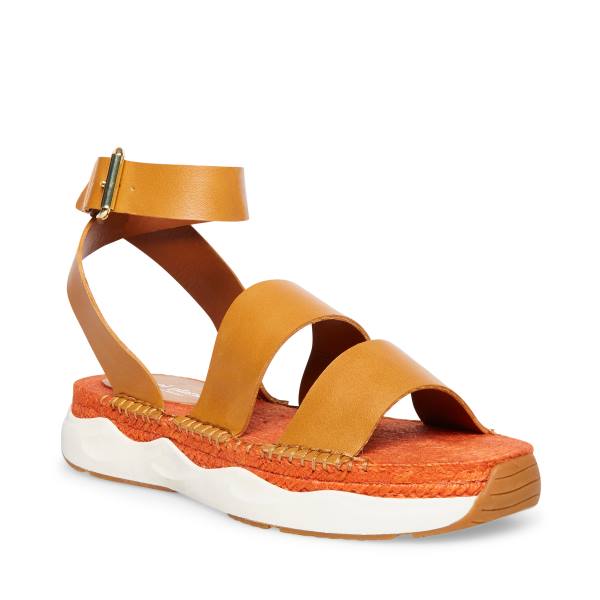 Steve Madden Springs Tan Paris Women's Sandals Brown | SM-498XE