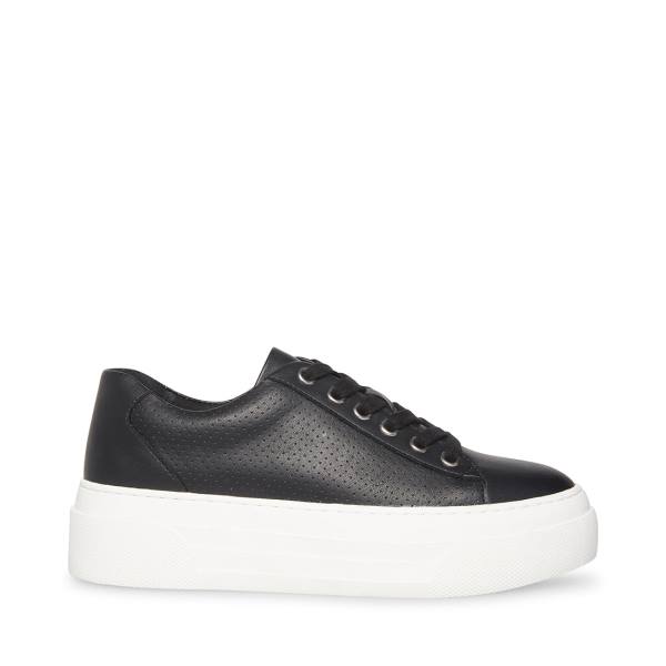 Steve Madden Studio Women\'s Sneakers Black | SM-581VJ