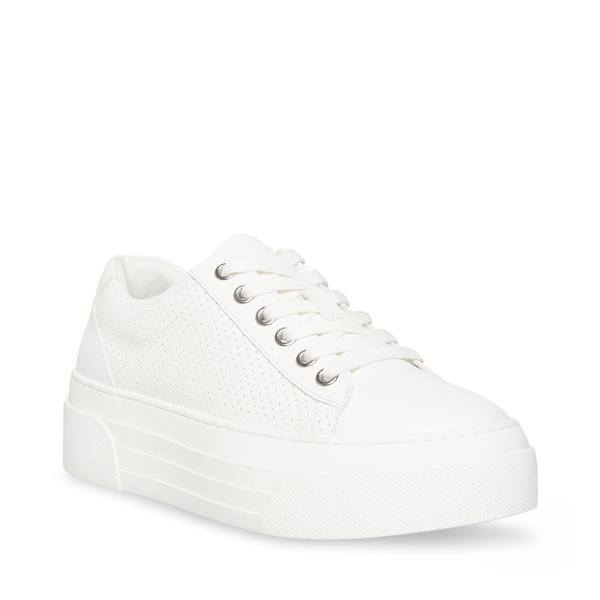 Steve Madden Studio Women's Sneakers White | SM-864WQ