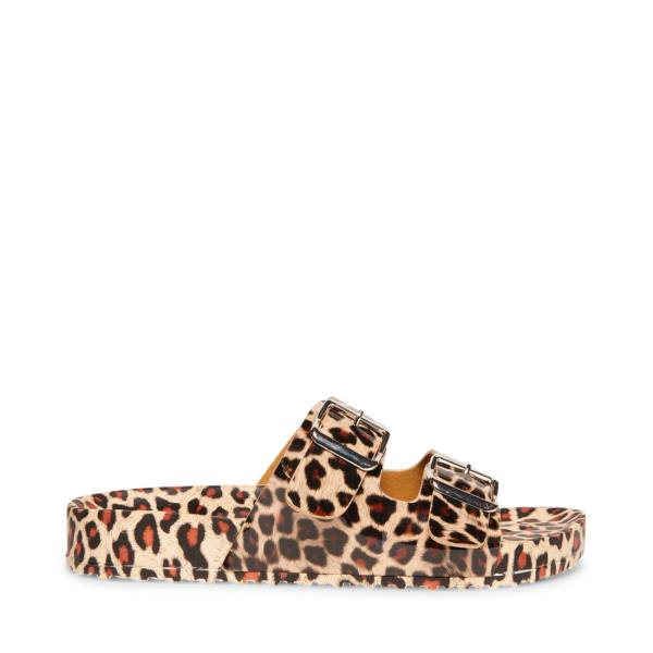 Steve Madden Teddy-t Leopard Women's Sandals Leopard | SM-938DE