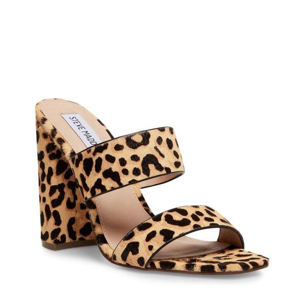 Steve Madden Tegan-l Leopard Women's Heels Leopard | SM-257EQ