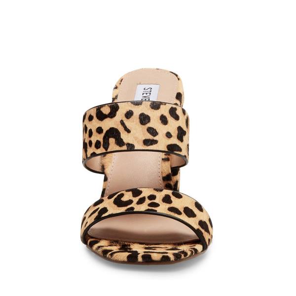 Steve Madden Tegan-l Leopard Women's Heels Leopard | SM-257EQ