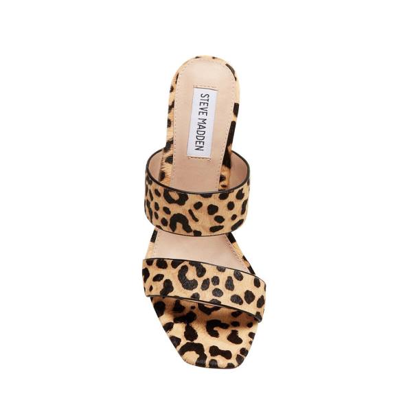 Steve Madden Tegan-l Leopard Women's Heels Leopard | SM-257EQ