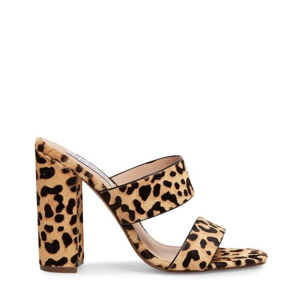 Steve Madden Tegan-l Leopard Women\'s Heels Leopard | SM-257EQ