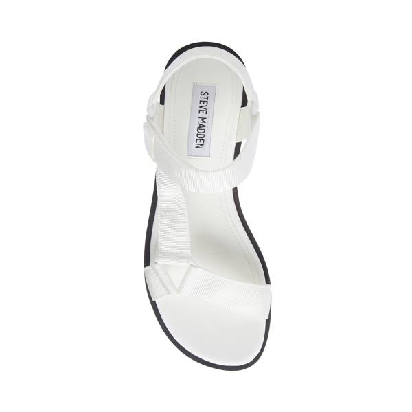 Steve Madden Toni Women's Sandals White | SM-713VE