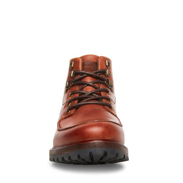 Steve Madden Trekker Cognac Leather Men's Boots Brown | SM-835KL