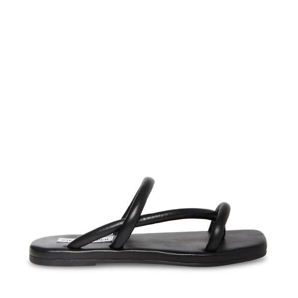 Steve Madden Tropic Women\'s Sandals Black | SM-357MG