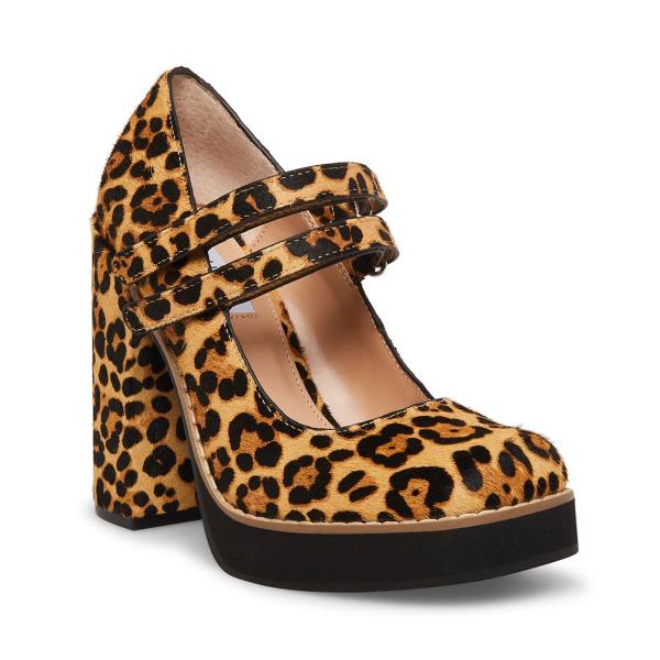 Steve Madden Twice-p Leopard Women's Heels Leopard | SM-748NH