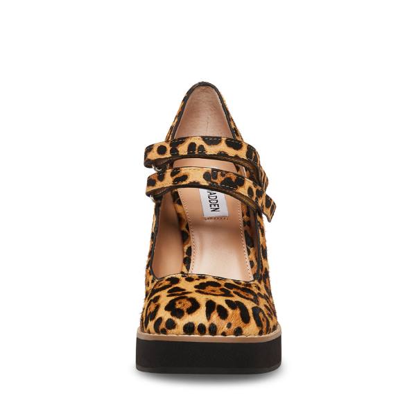 Steve Madden Twice-p Leopard Women's Heels Leopard | SM-748NH