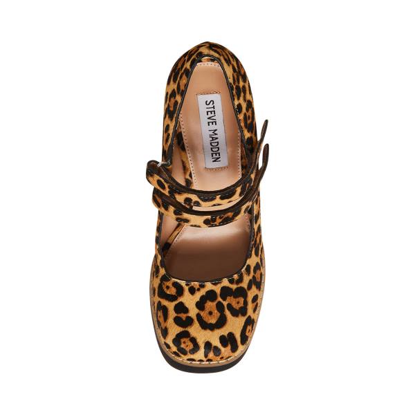 Steve Madden Twice-p Leopard Women's Heels Leopard | SM-748NH