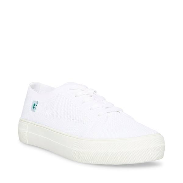 Steve Madden Valeryy Women's Sneakers White | SM-627AT