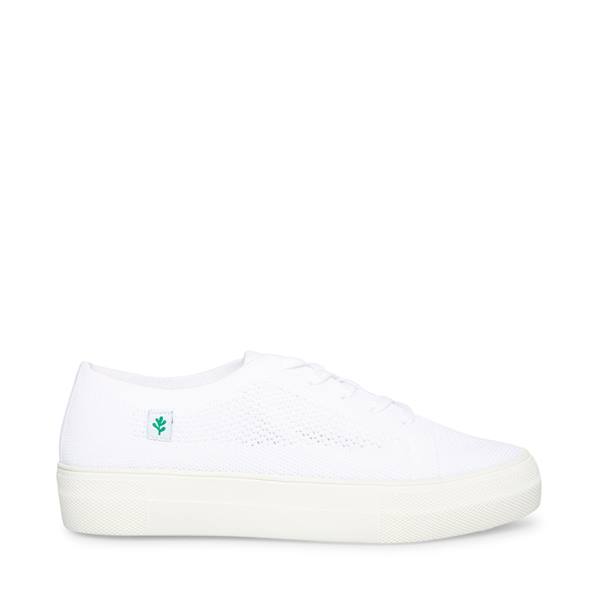 Steve Madden Valeryy Women\'s Sneakers White | SM-627AT