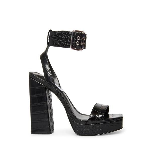 Steve Madden Waverley Crocodile Women\'s Heels Black | SM-106WO