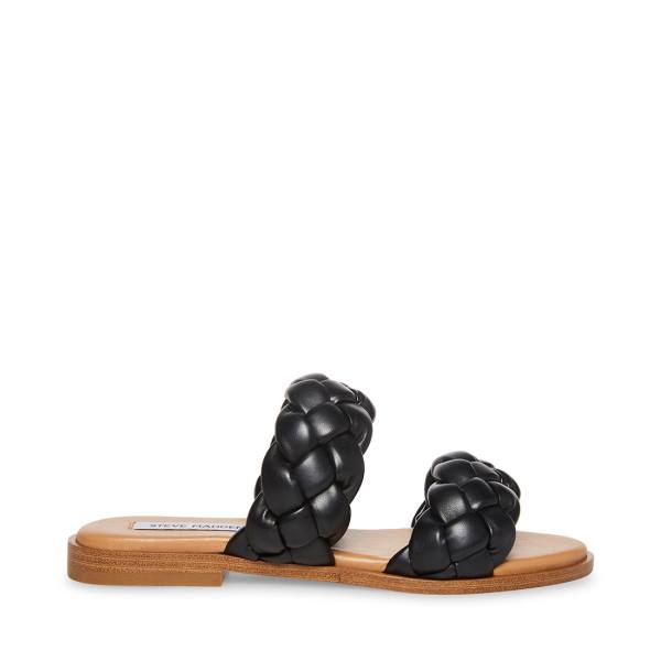 Steve Madden Zeren Women\'s Sandals Black | SM-642QC