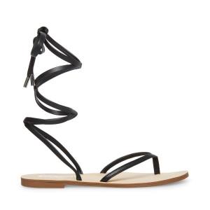 Steve Madden Anna Women's Sandals Black | SM-402GK