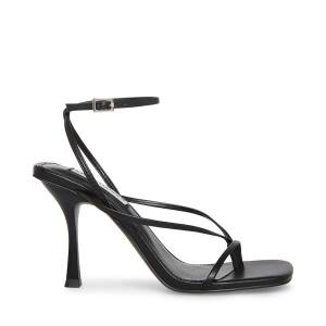 Steve Madden Annie Women's Heels Black | SM-835OR