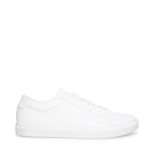 Steve Madden Bolo Men's Sneakers White | SM-378SJ