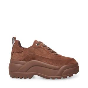 Steve Madden Briggs Suede Women's Sneakers Brown | SM-182EY