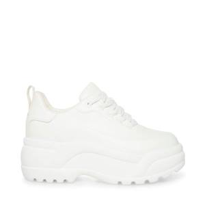 Steve Madden Briggs Women's Sneakers White | SM-267TV