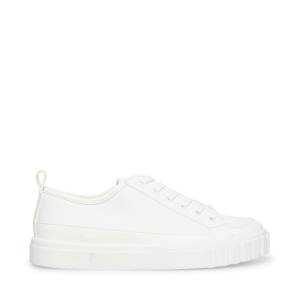 Steve Madden Caleb Women's Sneakers White | SM-904YL