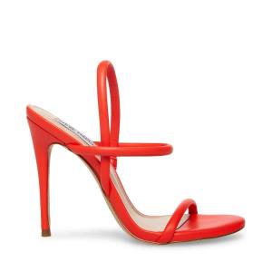 Steve Madden Carolena Women's Heels Red | SM-598BY