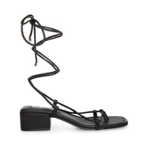 Steve Madden Claremont Women's Sandals Black | SM-596PF