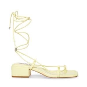 Steve Madden Claremont Women's Sandals Yellow | SM-598HU