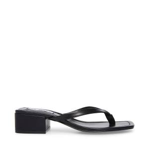 Steve Madden Claudette Women's Sandals Black | SM-409HJ