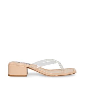 Steve Madden Claudette Women's Sandals Clear | SM-349TS