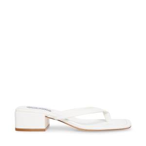 Steve Madden Claudette Women's Sandals White | SM-140BC