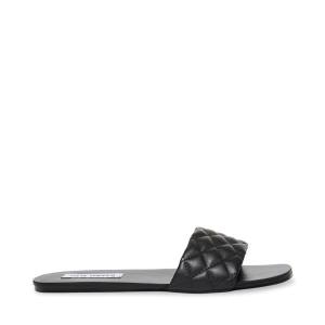 Steve Madden Damaris Women's Sandals Black | SM-795AL