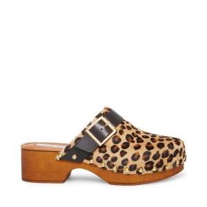 Steve Madden Dana-p Leopard Women's Heels Leopard | SM-297EZ