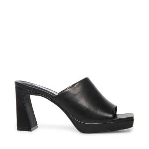 Steve Madden Dedicate Leather Women's Heels Black | SM-182AY