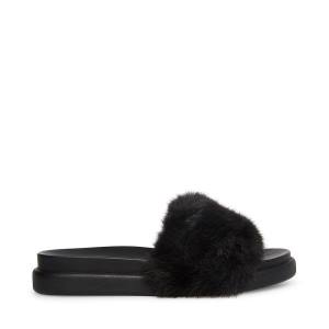 Steve Madden Delphina Women's Slippers Black | SM-472HK