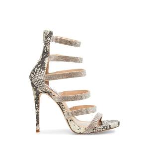 Steve Madden Desired Women's Heels Diamond | SM-142XB