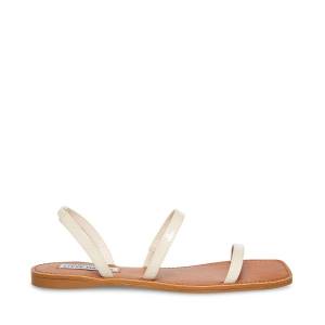 Steve Madden Direct Bone Patent Women's Sandals Beige | SM-569BQ