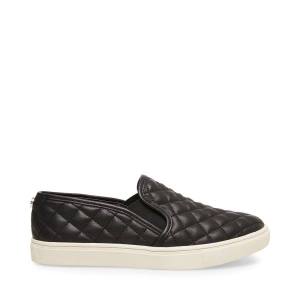 Steve Madden Ecentrcq Women's Sneakers Black | SM-387WF