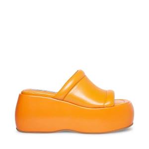 Steve Madden Energy Women's Sandals Orange | SM-250BJ