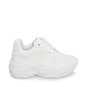 Steve Madden Evelyn Women's Sneakers White | SM-695DH