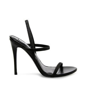 Steve Madden Gabriella Women's Heels Black | SM-895QE