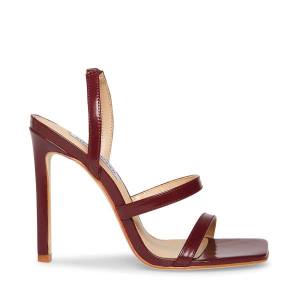 Steve Madden Grade Burgundy Women's Heels Burgundy | SM-526BA