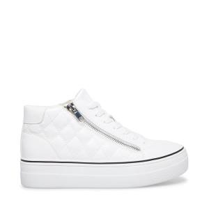 Steve Madden Gryphon-q Women's Sneakers White | SM-102OA