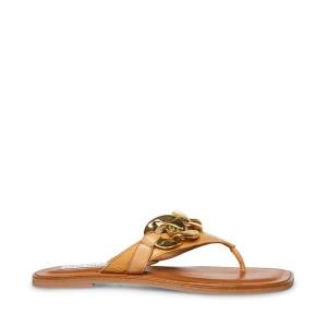 Steve Madden Hazel Tan Women's Sandals Brown | SM-784IY