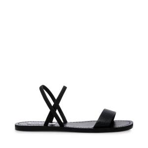 Steve Madden Instant Women's Sandals Black | SM-695OI