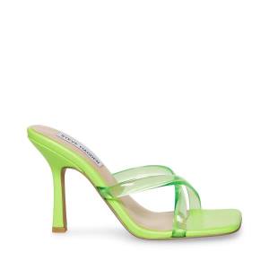 Steve Madden Jada Women's Heels Green | SM-639SZ